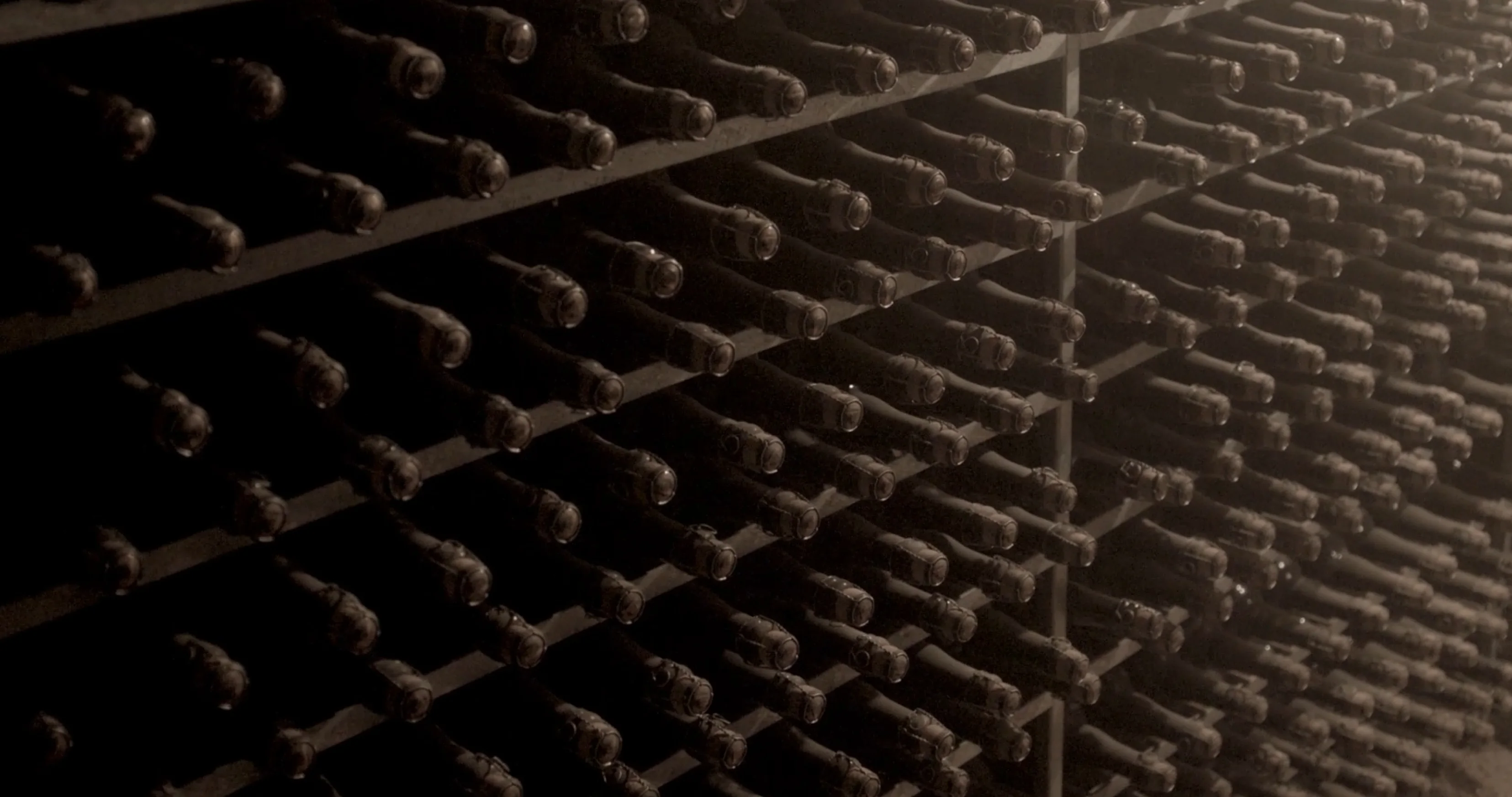 Grand Prestige bottles aging on the Hertog Jan cellar racks
